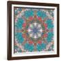 Mandala of Flower Photographies-Alaya Gadeh-Framed Photographic Print