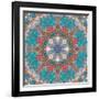 Mandala of Flower Photographies-Alaya Gadeh-Framed Photographic Print