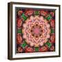 Mandala of Flower Photographies-Alaya Gadeh-Framed Photographic Print