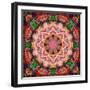 Mandala of Flower Photographies-Alaya Gadeh-Framed Photographic Print