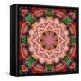 Mandala of Flower Photographies-Alaya Gadeh-Framed Stretched Canvas