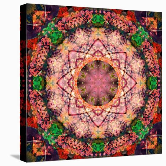 Mandala of Flower Photographies-Alaya Gadeh-Stretched Canvas