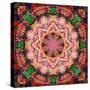 Mandala of Flower Photographies-Alaya Gadeh-Stretched Canvas