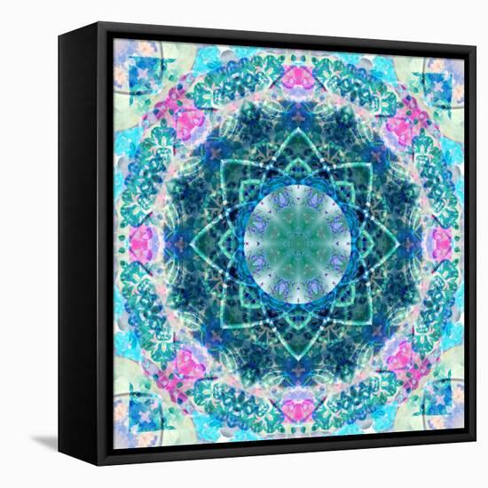 Mandala of Flower Photographies-Alaya Gadeh-Framed Stretched Canvas