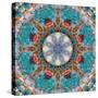 Mandala of Flower Photographies-Alaya Gadeh-Stretched Canvas