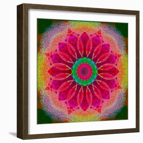 Mandala of Flower Photographies-Alaya Gadeh-Framed Photographic Print