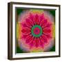 Mandala of Flower Photographies-Alaya Gadeh-Framed Photographic Print