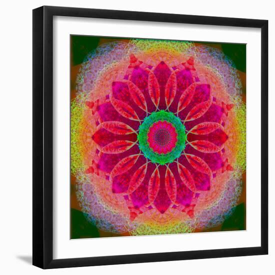 Mandala of Flower Photographies-Alaya Gadeh-Framed Photographic Print