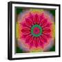 Mandala of Flower Photographies-Alaya Gadeh-Framed Photographic Print