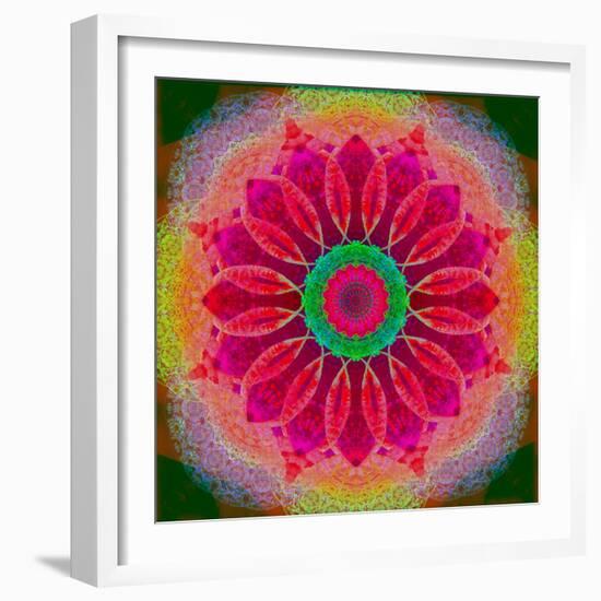 Mandala of Flower Photographies-Alaya Gadeh-Framed Photographic Print