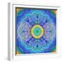 Mandala of Flower Photographies-Alaya Gadeh-Framed Photographic Print