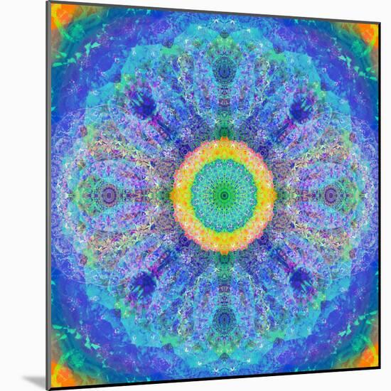 Mandala of Flower Photographies-Alaya Gadeh-Mounted Photographic Print