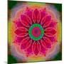 Mandala of Flower Photographies-Alaya Gadeh-Mounted Photographic Print