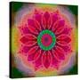 Mandala of Flower Photographies-Alaya Gadeh-Stretched Canvas