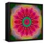 Mandala of Flower Photographies-Alaya Gadeh-Framed Stretched Canvas