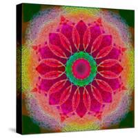 Mandala of Flower Photographies-Alaya Gadeh-Stretched Canvas