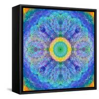 Mandala of Flower Photographies-Alaya Gadeh-Framed Stretched Canvas