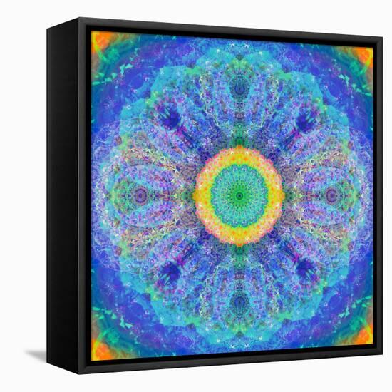 Mandala of Flower Photographies-Alaya Gadeh-Framed Stretched Canvas