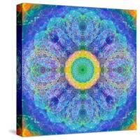 Mandala of Flower Photographies-Alaya Gadeh-Stretched Canvas