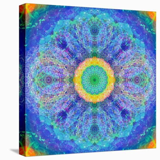 Mandala of Flower Photographies-Alaya Gadeh-Stretched Canvas