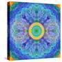 Mandala of Flower Photographies-Alaya Gadeh-Stretched Canvas