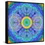 Mandala of Flower Photographies-Alaya Gadeh-Framed Stretched Canvas