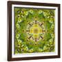 Mandala of Flower Photographies-Alaya Gadeh-Framed Photographic Print