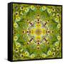 Mandala of Flower Photographies-Alaya Gadeh-Framed Stretched Canvas