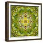 Mandala of Flower Photographies-Alaya Gadeh-Framed Photographic Print
