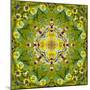 Mandala of Flower Photographies-Alaya Gadeh-Mounted Photographic Print