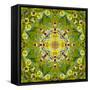 Mandala of Flower Photographies-Alaya Gadeh-Framed Stretched Canvas