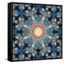 Mandala of Flower Photographies-Alaya Gadeh-Framed Stretched Canvas