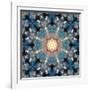 Mandala of Flower Photographies-Alaya Gadeh-Framed Photographic Print