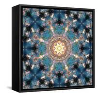 Mandala of Flower Photographies-Alaya Gadeh-Framed Stretched Canvas