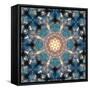 Mandala of Flower Photographies-Alaya Gadeh-Framed Stretched Canvas