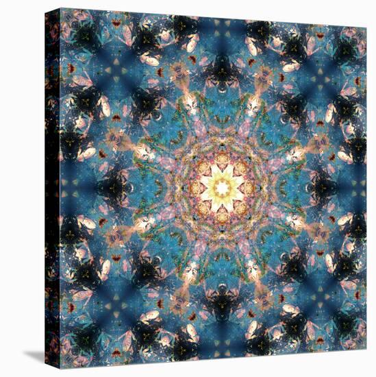 Mandala of Flower Photographies-Alaya Gadeh-Stretched Canvas