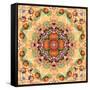 Mandala of Flower Photographies-Alaya Gadeh-Framed Stretched Canvas