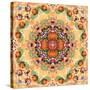 Mandala of Flower Photographies-Alaya Gadeh-Stretched Canvas