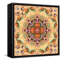 Mandala of Flower Photographies-Alaya Gadeh-Framed Stretched Canvas