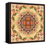 Mandala of Flower Photographies-Alaya Gadeh-Framed Stretched Canvas