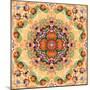 Mandala of Flower Photographies-Alaya Gadeh-Mounted Photographic Print