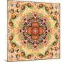 Mandala of Flower Photographies-Alaya Gadeh-Mounted Photographic Print