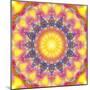 Mandala of Flower Photographies-Alaya Gadeh-Mounted Photographic Print