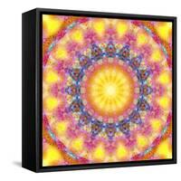 Mandala of Flower Photographies-Alaya Gadeh-Framed Stretched Canvas