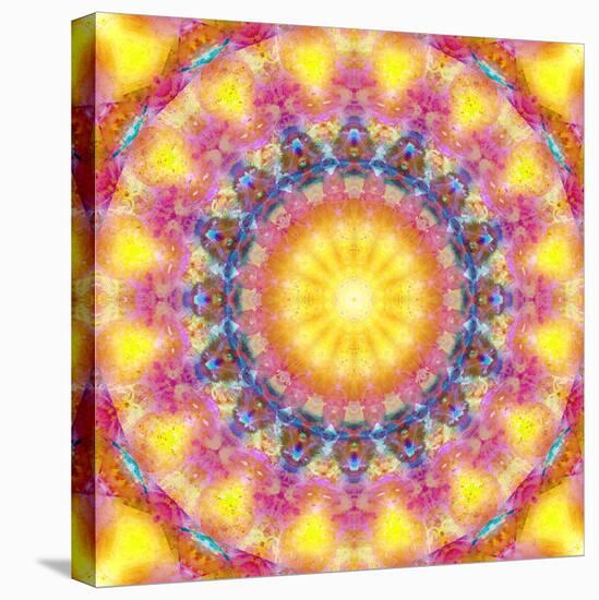 Mandala of Flower Photographies-Alaya Gadeh-Stretched Canvas