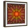 Mandala of Plants, Composing-Alaya Gadeh-Framed Photographic Print