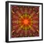 Mandala of Plants, Composing-Alaya Gadeh-Framed Photographic Print