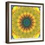 Mandala Ornament from Flower Photographs, Conceptual Layer Work-Alaya Gadeh-Framed Photographic Print