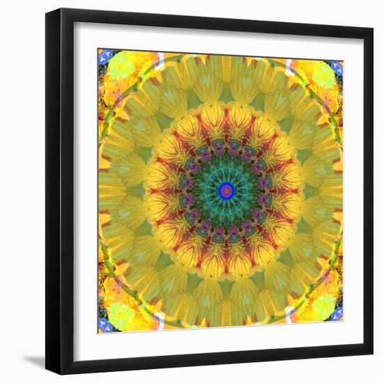 Mandala Ornament from Flower Photographs, Conceptual Layer Work-Alaya Gadeh-Framed Photographic Print