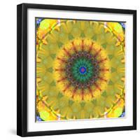 Mandala Ornament from Flower Photographs, Conceptual Layer Work-Alaya Gadeh-Framed Photographic Print